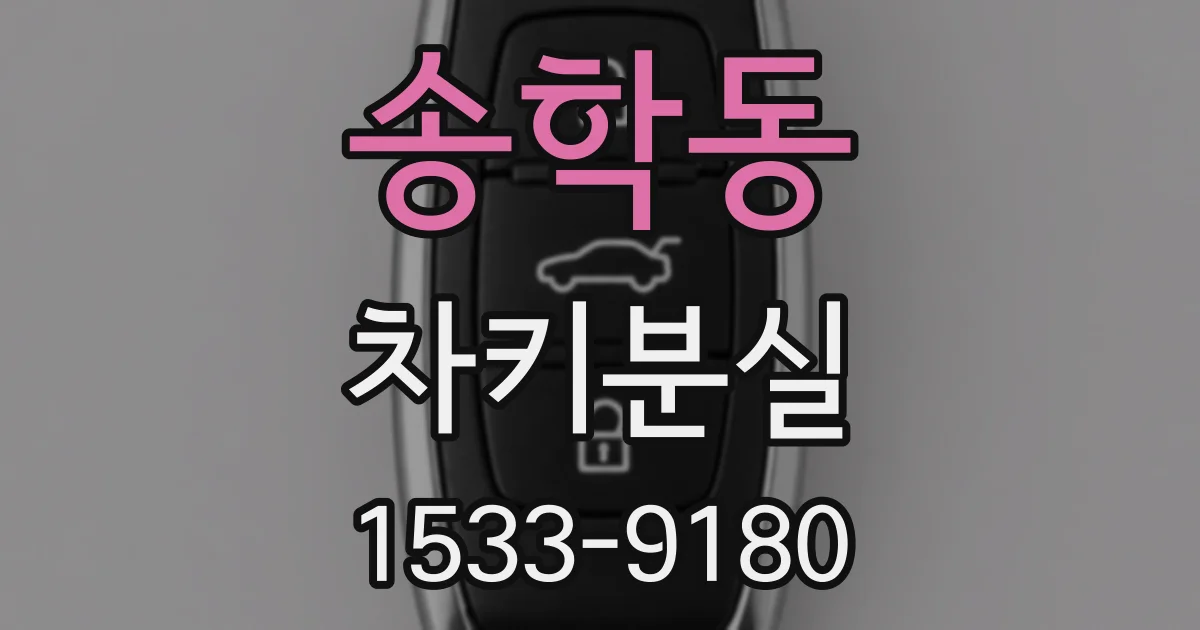 송학동 차키분실