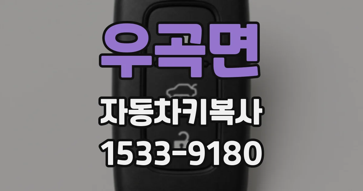 우곡면 자동차키복사