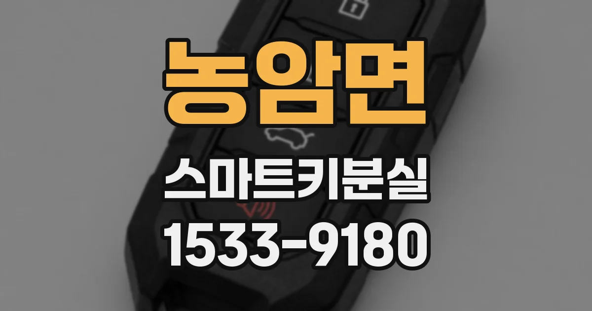농암면 스마트키분실