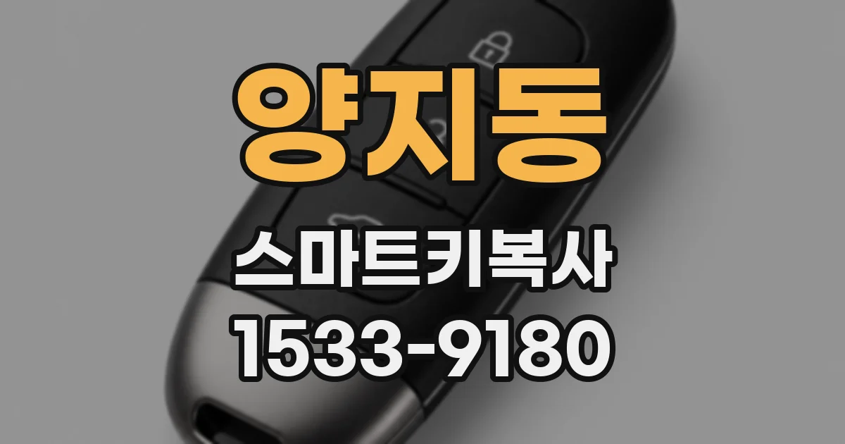 양지동 스마트키복사