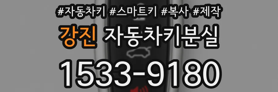 강진 자동차키분실