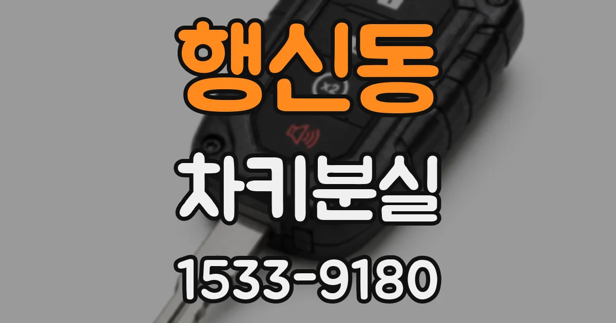 행신동 차키분실