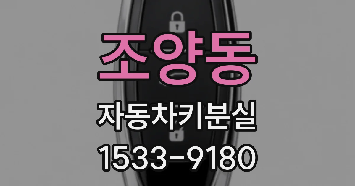 조양동 자동차키분실