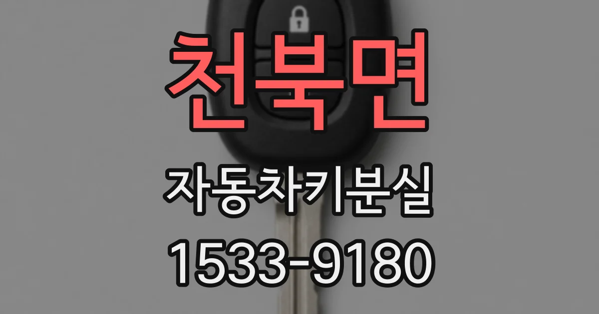 천북면 자동차키분실
