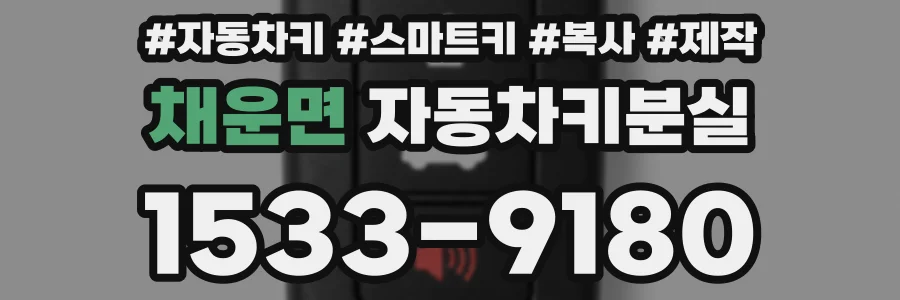 채운면 자동차키분실