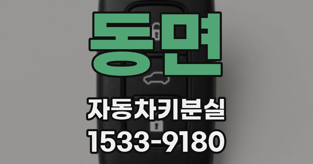 동면 자동차키분실