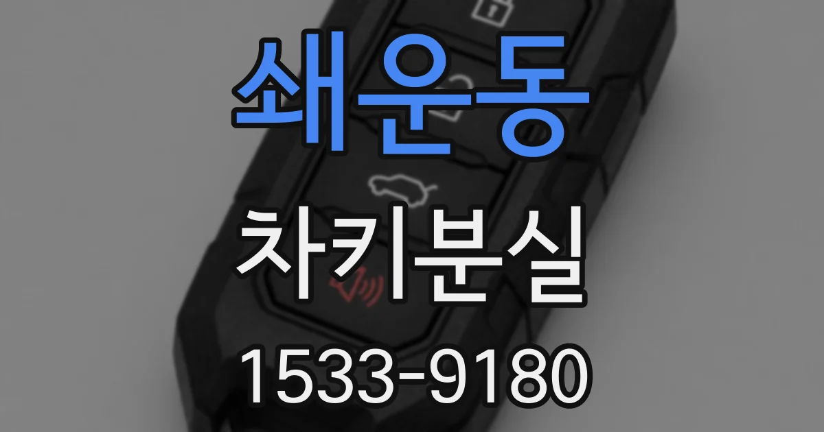 쇄운동 차키분실