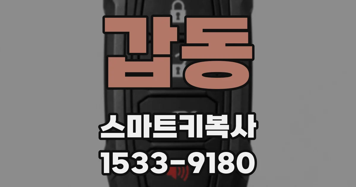 갑동 스마트키복사