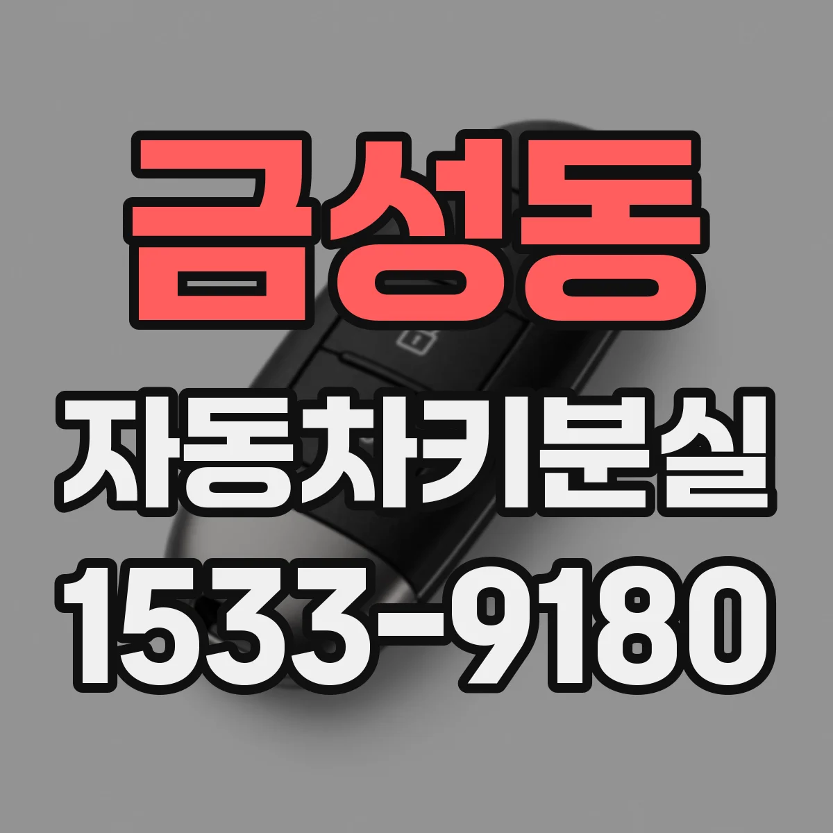 금성동 자동차키분실