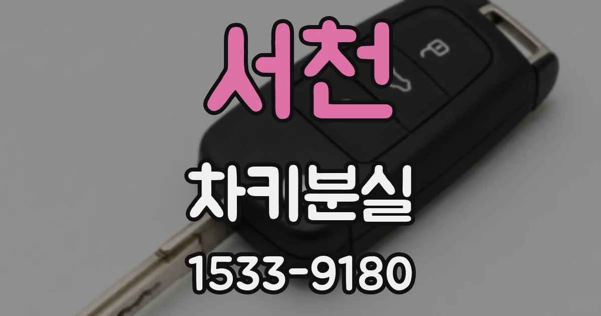 서천 차키분실