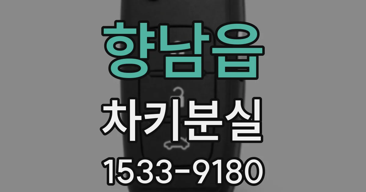 향남읍 차키분실