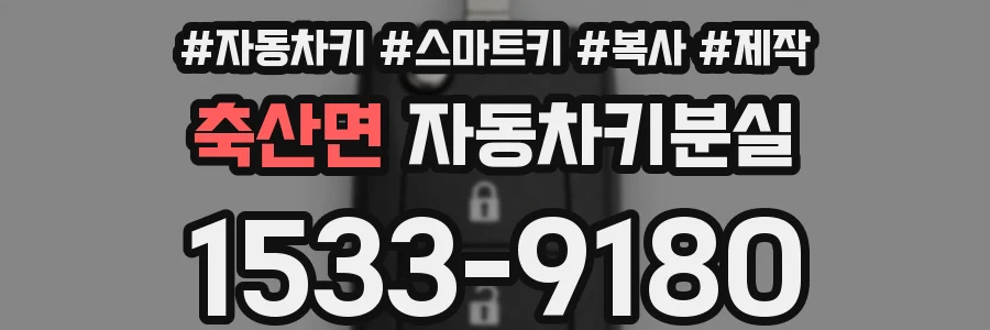 축산면 자동차키분실