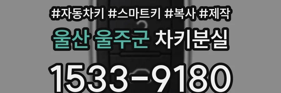 울산 울주군 차키분실