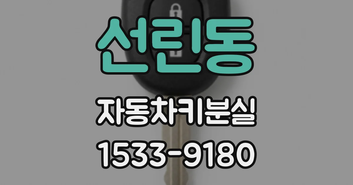 선린동 자동차키분실