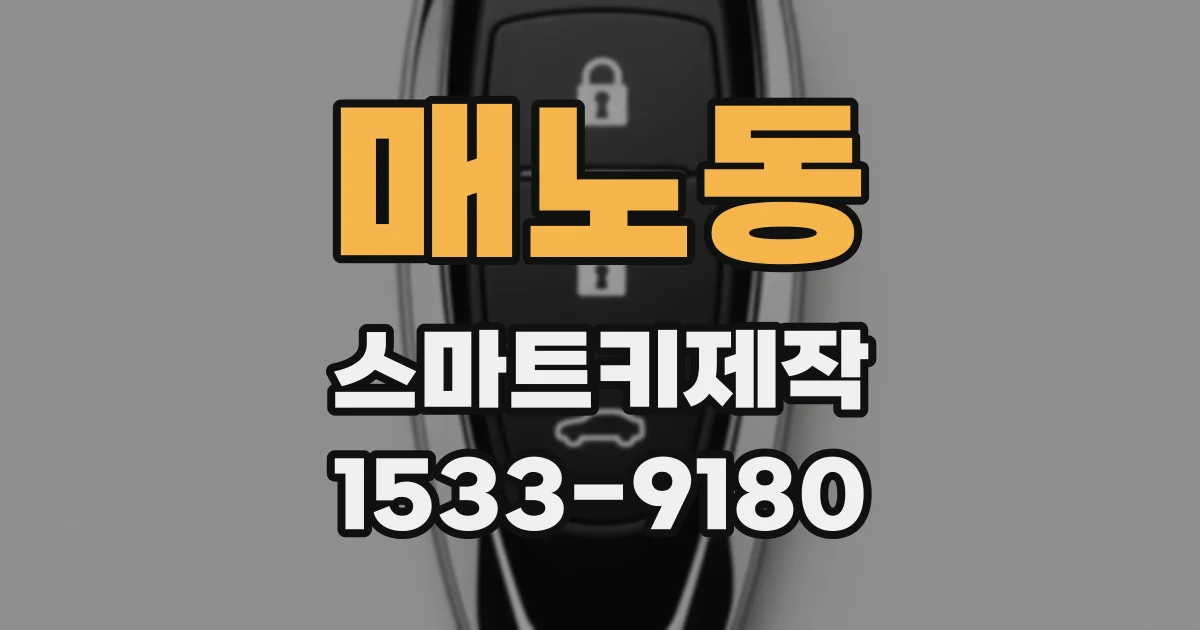 매노동 스마트키제작