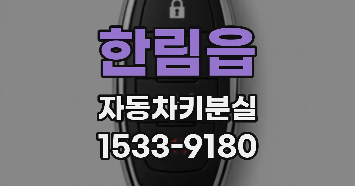 한림읍 자동차키분실