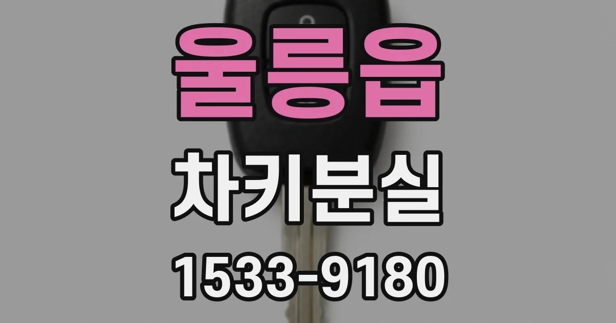 울릉읍 차키분실