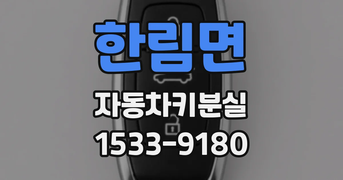한림면 자동차키분실