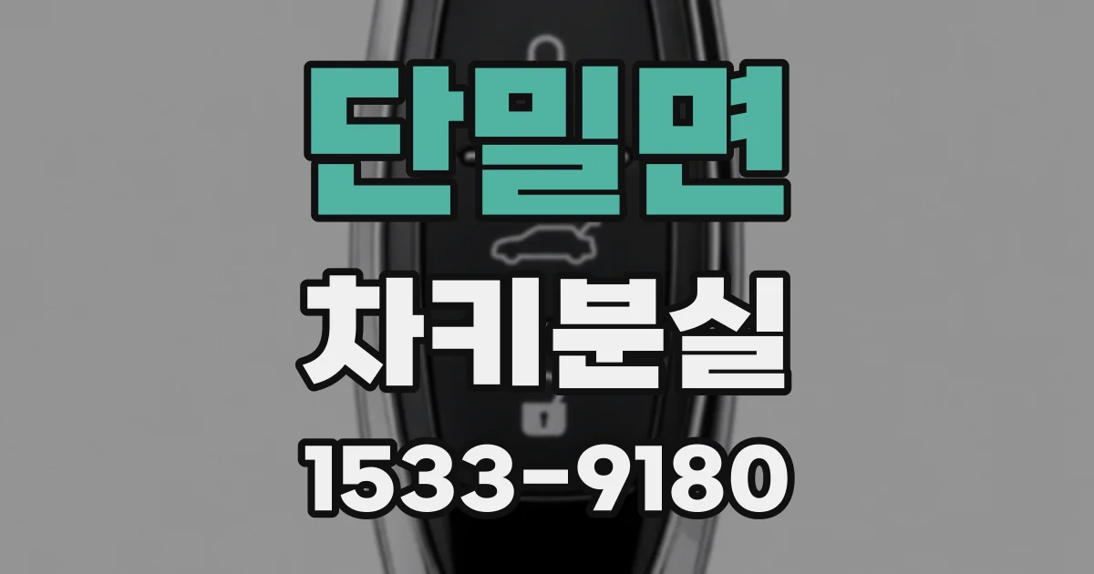 단밀면 차키분실