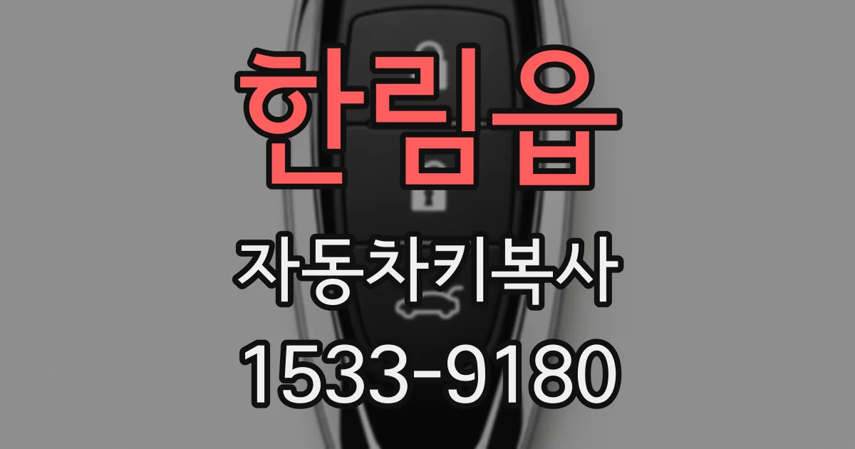 한림읍 자동차키복사