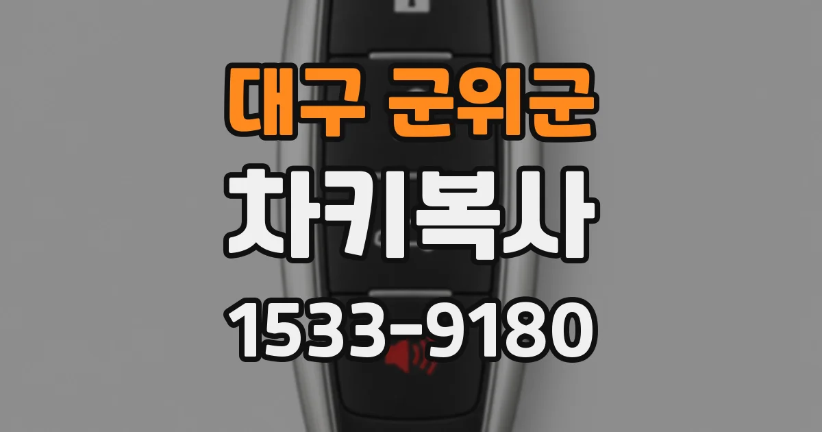 대구 군위군 차키복사