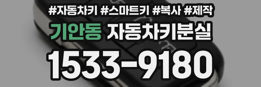 기안동 자동차키분실