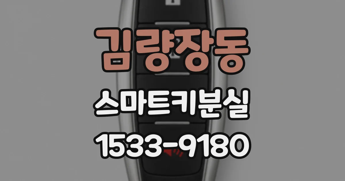 김량장동 스마트키분실