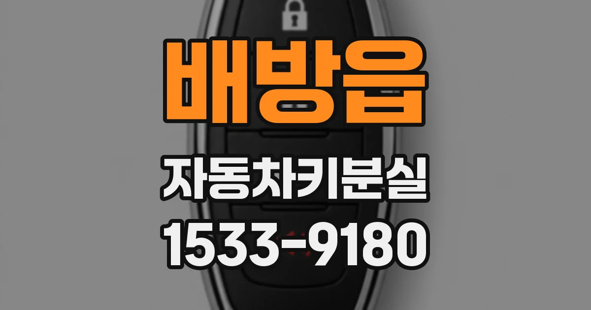 배방읍 자동차키분실