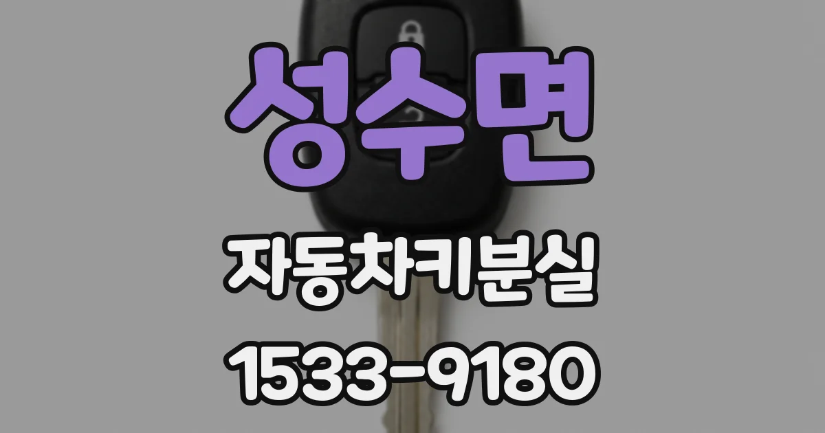 성수면 자동차키분실