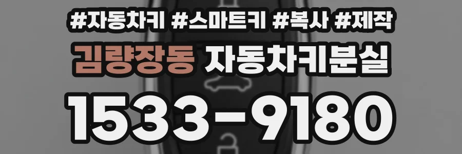 김량장동 자동차키분실