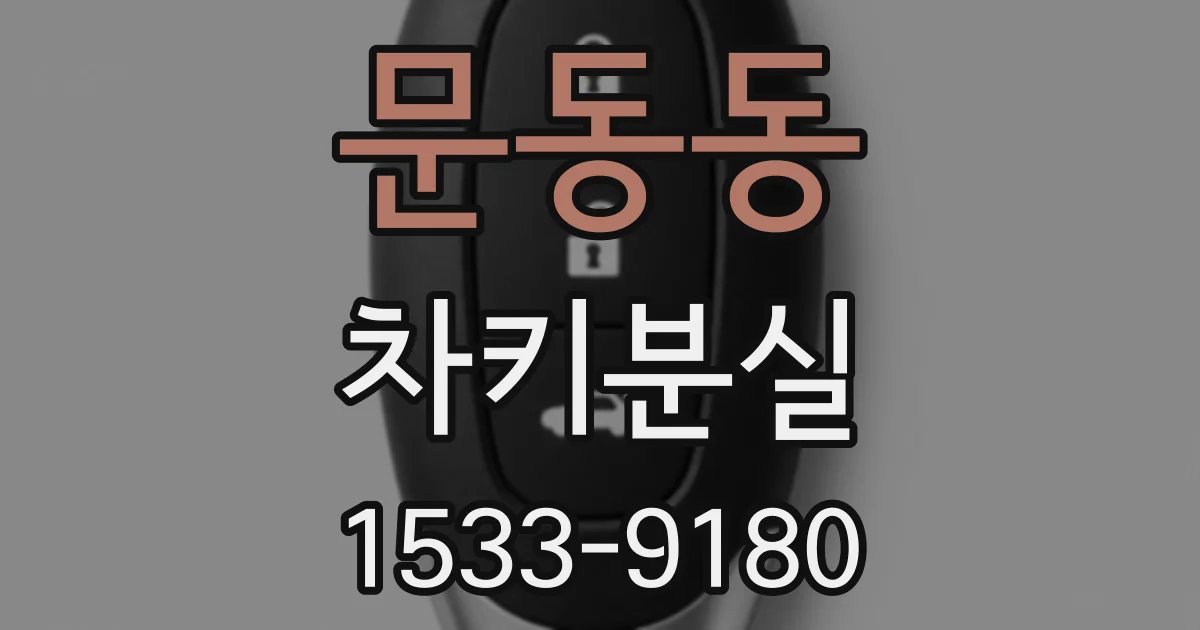 문동동 차키분실