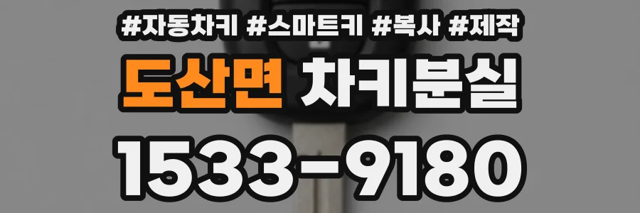 도산면 차키분실