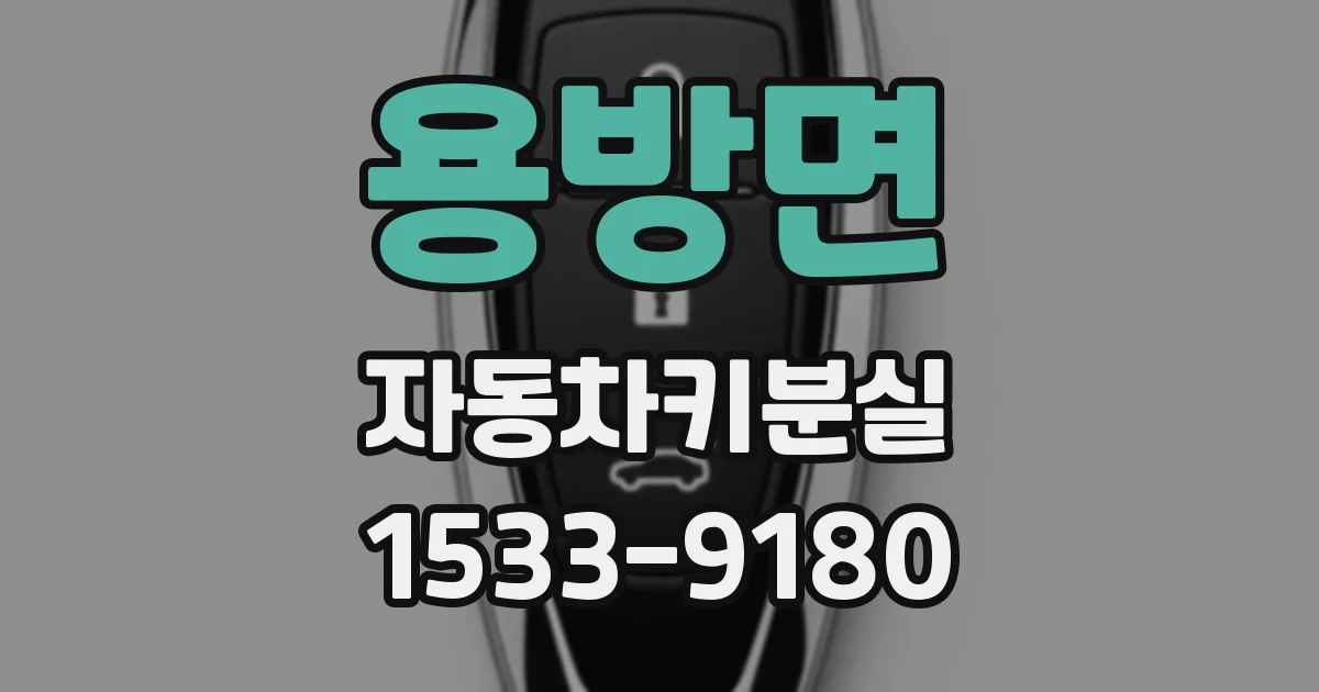 용방면 자동차키분실