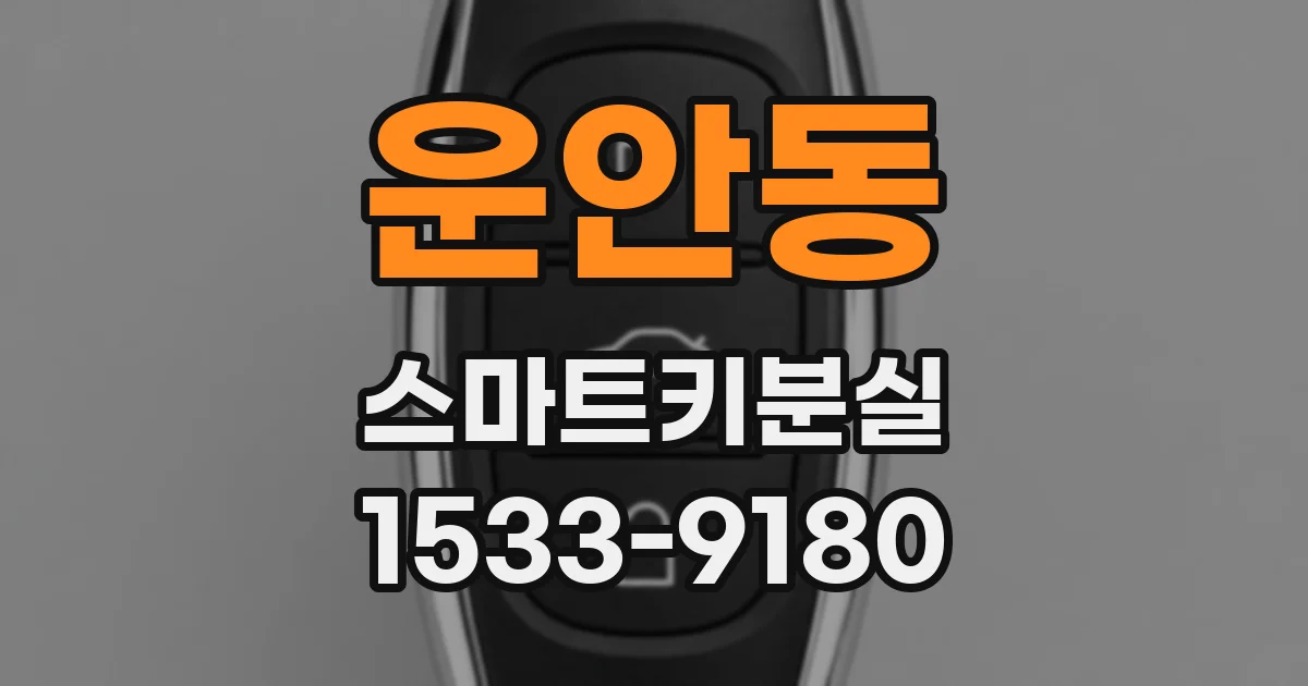 운안동 스마트키분실