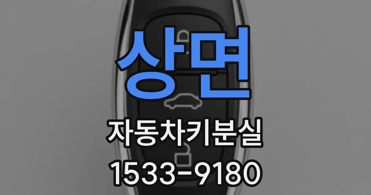 상면 자동차키분실