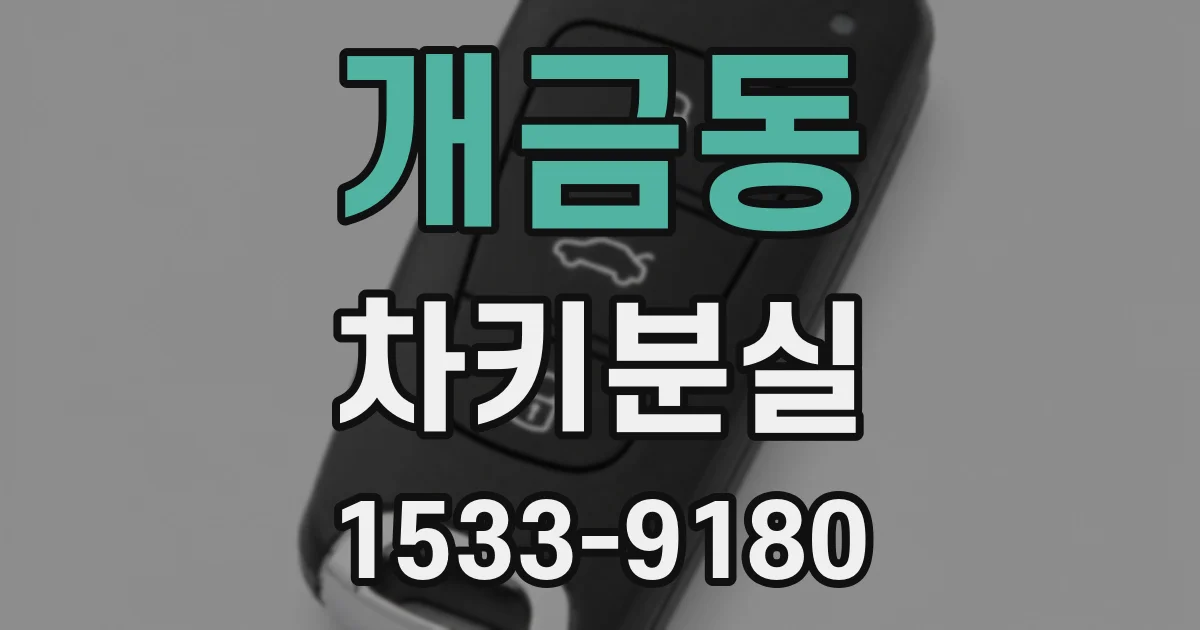 개금동 차키분실