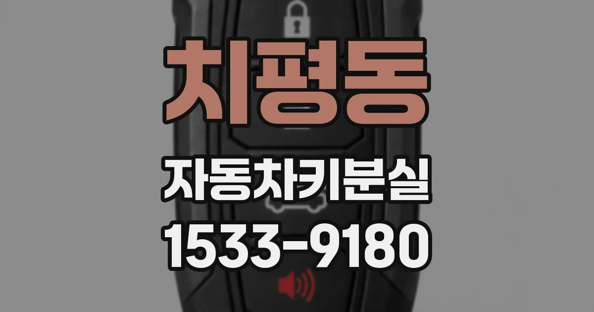 치평동 자동차키분실