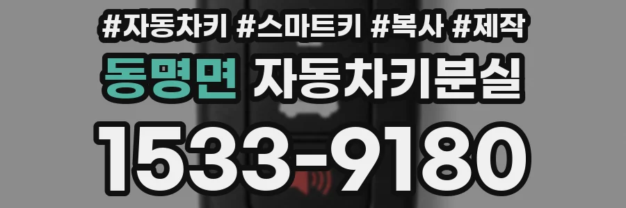 동명면 자동차키분실