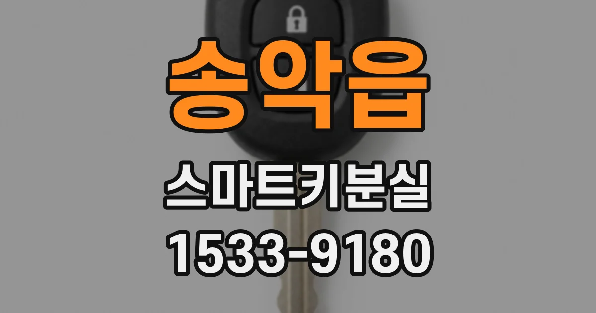송악읍 스마트키분실