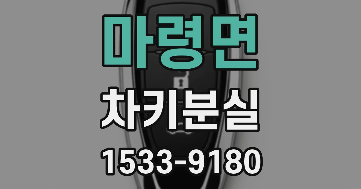 마령면 차키분실