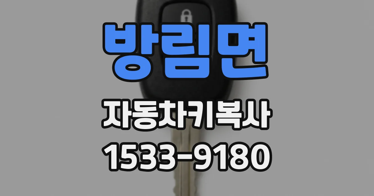 방림면 자동차키복사