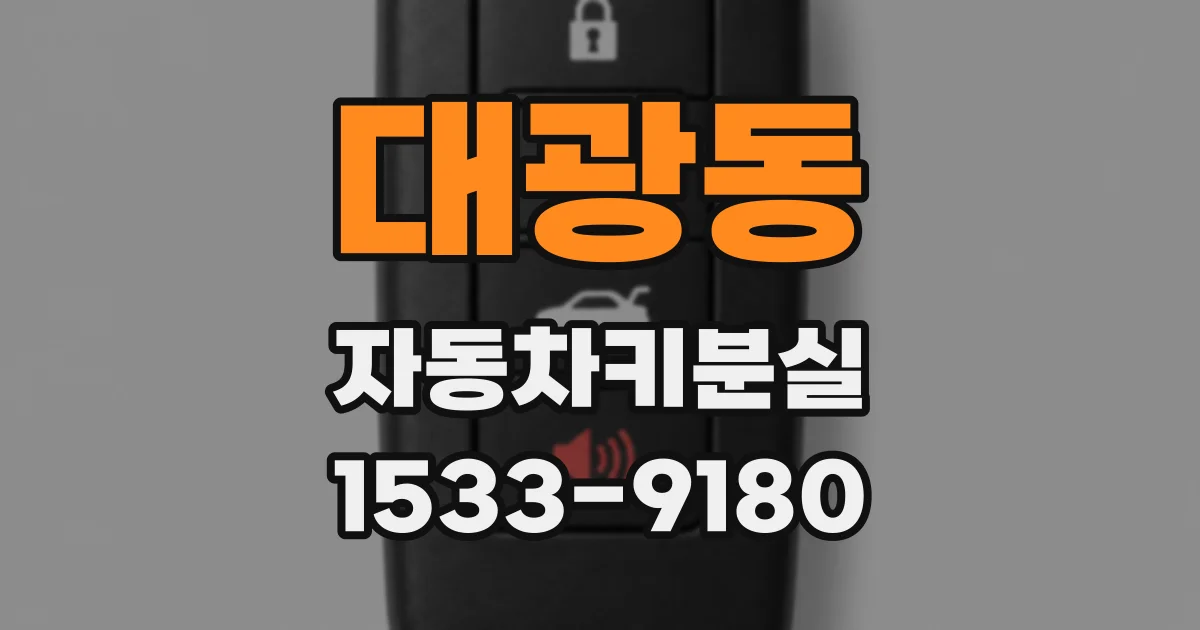 대광동 자동차키분실