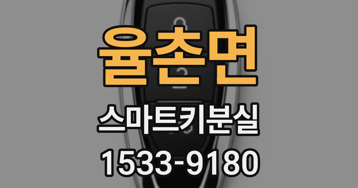 율촌면 스마트키분실