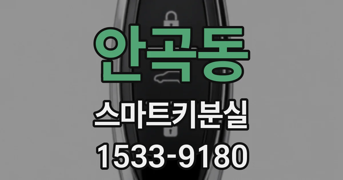 안곡동 스마트키분실