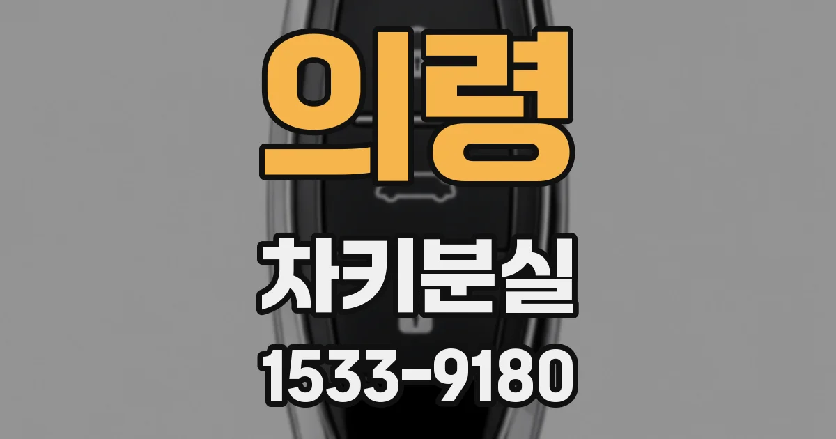 의령 차키분실