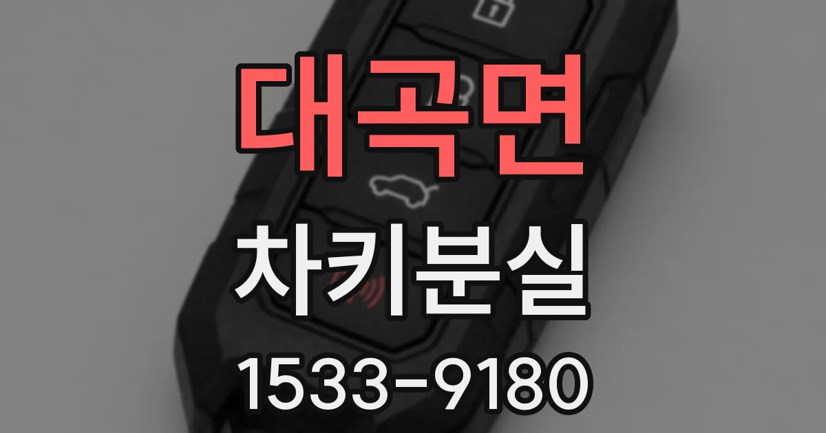 대곡면 차키분실
