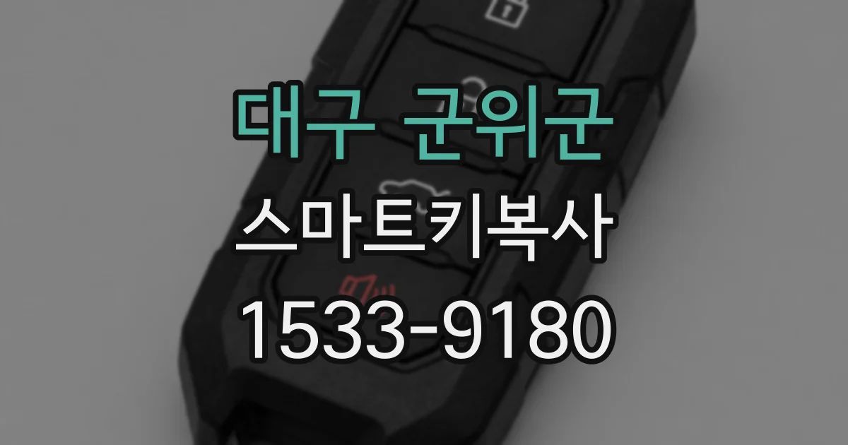대구 군위군 스마트키복사