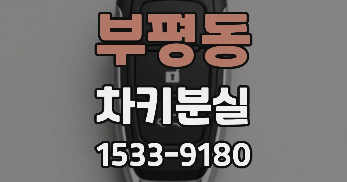 부평동 차키분실