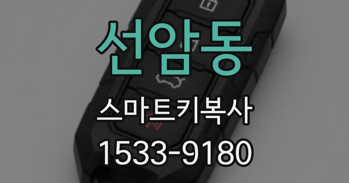 선암동 스마트키복사