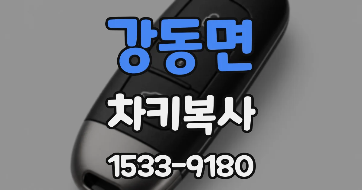 강동면 차키복사